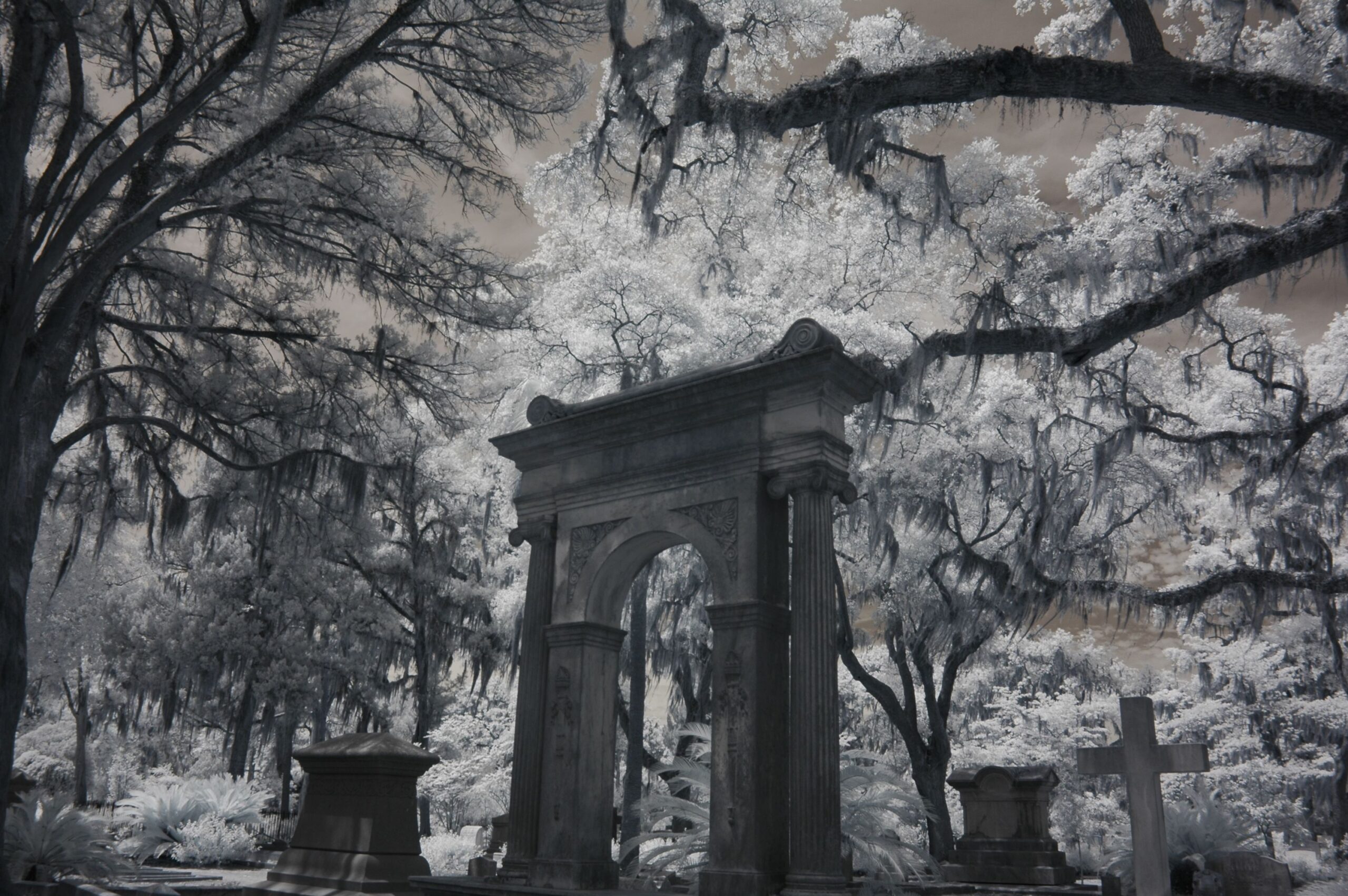 Infrared photograph of historic Savannah cemetery with stone archway live oak trees and gravestones